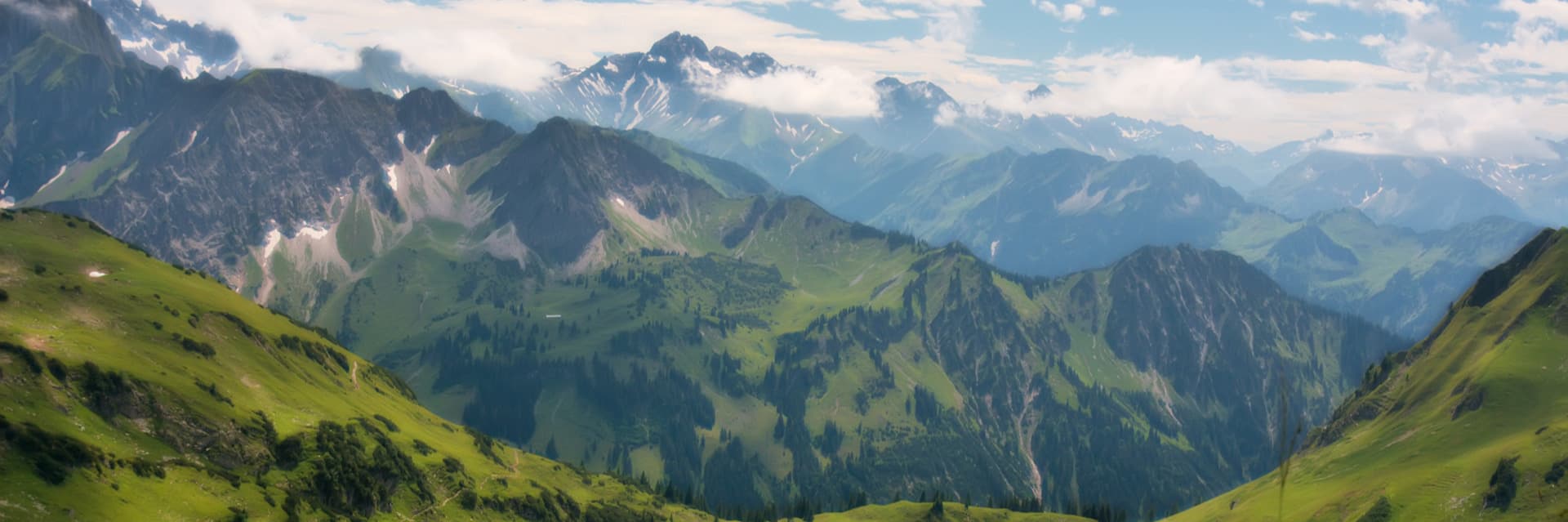 Header Image for Healthiii