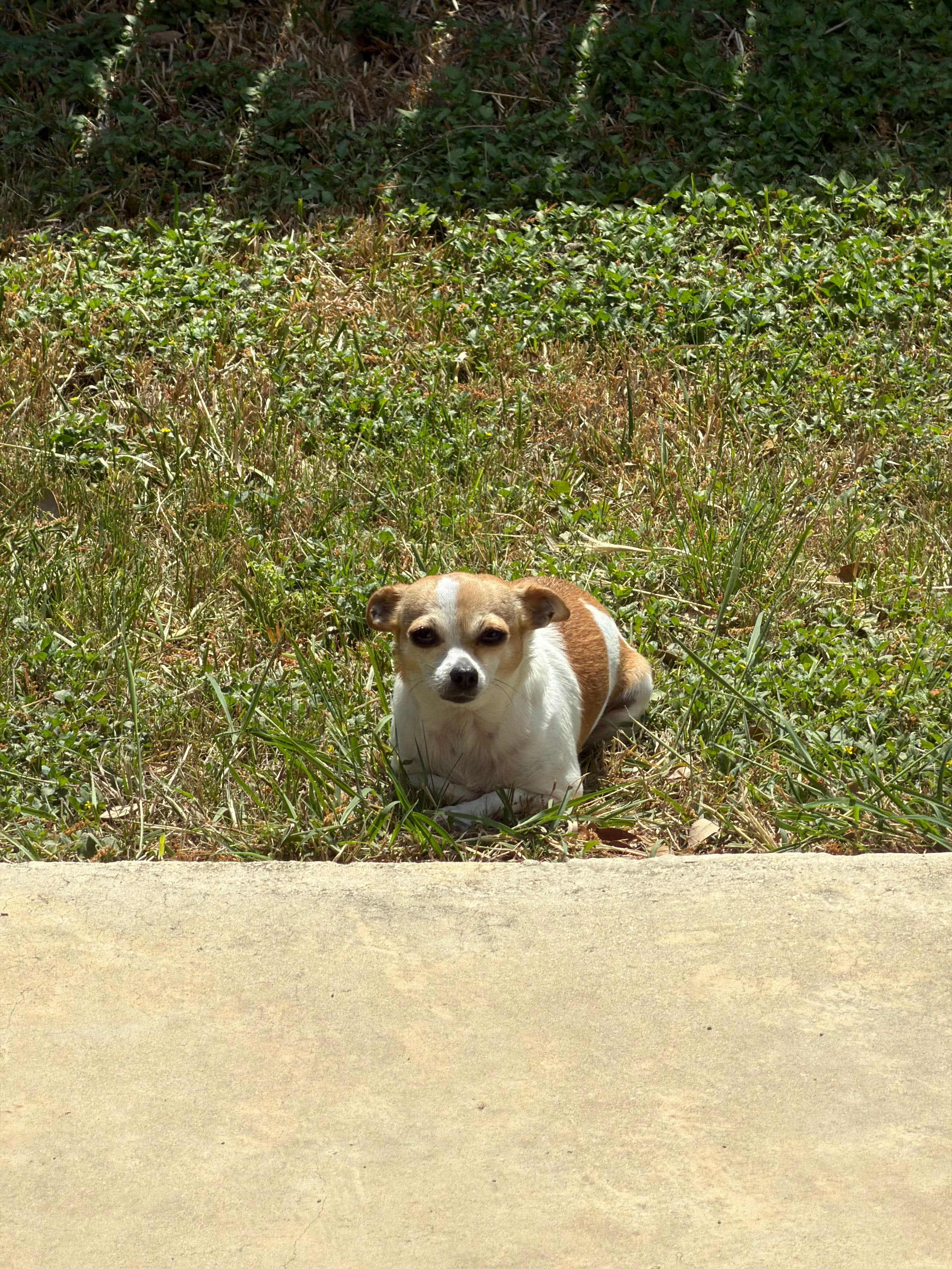 IMG_0299.jpeg